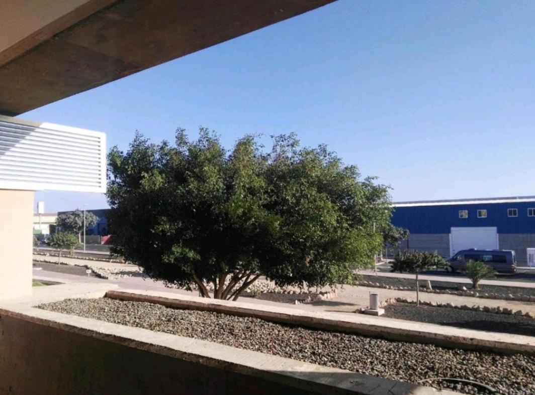 Strelitzia Park Aparthotel San Miguel de Abona Kültér fotó