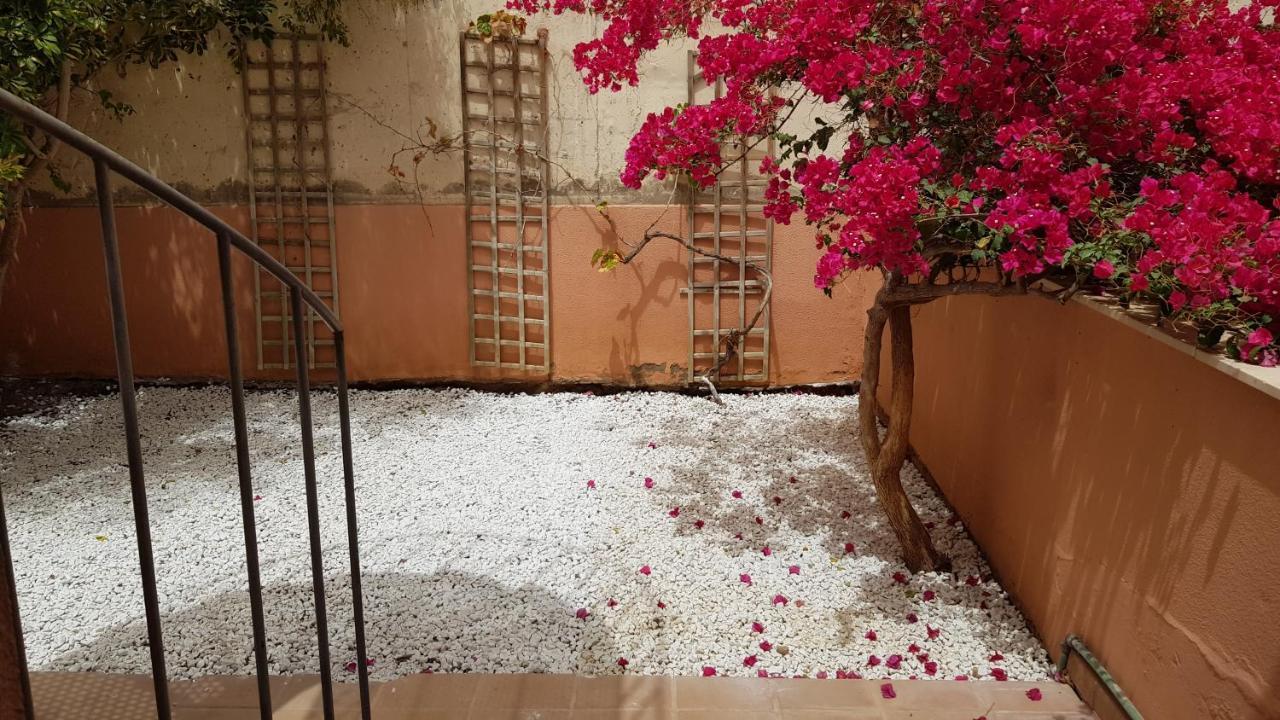 Strelitzia Park Aparthotel San Miguel de Abona Kültér fotó