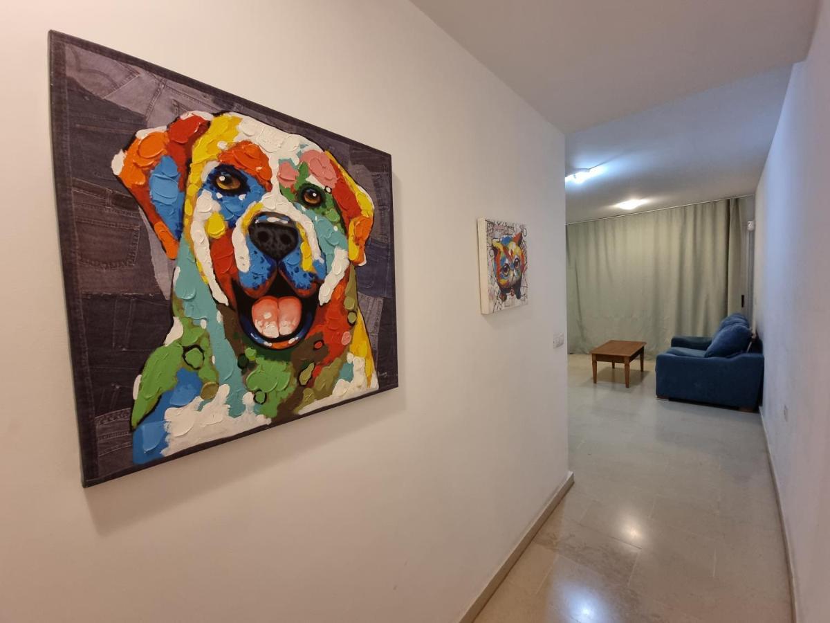 Strelitzia Park Aparthotel San Miguel de Abona Kültér fotó