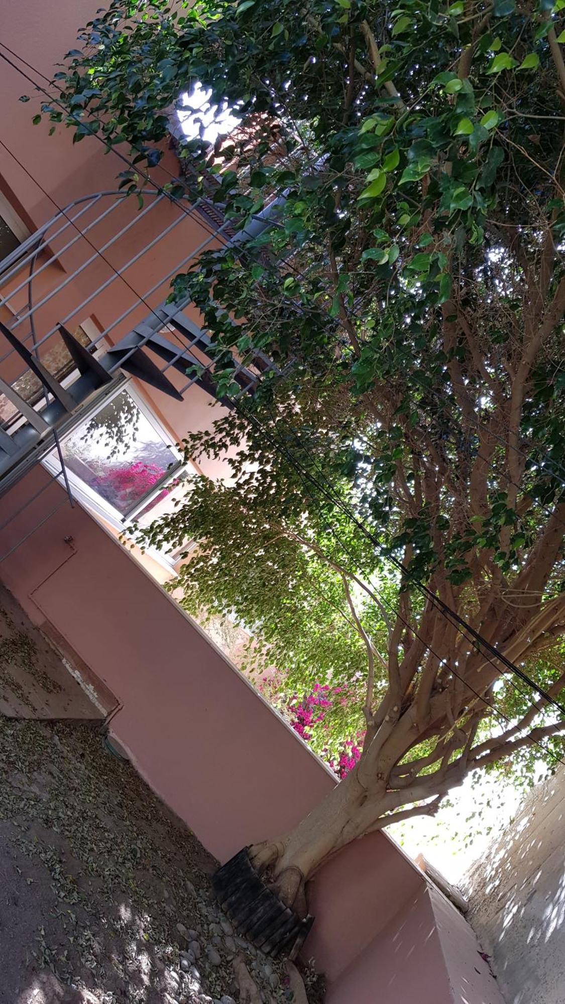 Strelitzia Park Aparthotel San Miguel de Abona Szoba fotó